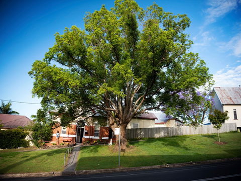 Big Bat Wildlife And Eco Festival - Mackay Tourism 0