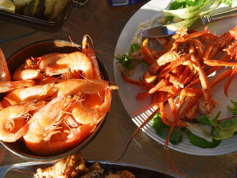 Cape Jaffa Food And Wine Festival - Mackay Tourism 0