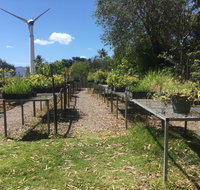 Conservation Volunteers Australia Townsville - Ocean View Nursery - Mackay Tourism