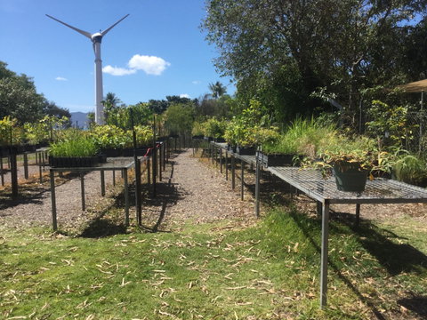 Conservation Volunteers Australia Townsville - Ocean View Nursery - Mackay Tourism 0