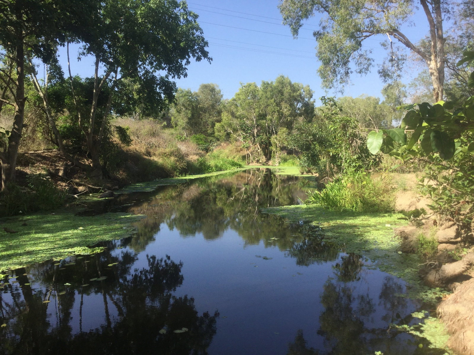 Belgian Gardens QLD Mackay Tourism