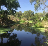 Conservation Volunteers Australia Townsville - Creekwatch - Mackay Tourism