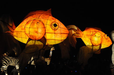 DREAM Festival: Music And Markets Event - Mackay Tourism 2