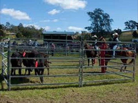Dungog Team Penning - Mackay Tourism 0