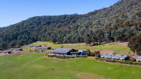 Father's Day Lunch At Holmesglen At Eildon - Mackay Tourism 2