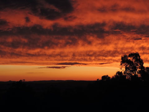 Father's Day At Cottontail Wines - Mackay Tourism 0