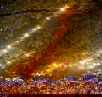 Festivale - Mackay Tourism