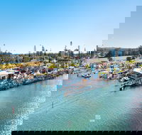 Fred Williams Aquatic Festival - Mackay Tourism