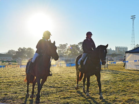 Gunnedah Showjumping Festival - Mackay Tourism 0