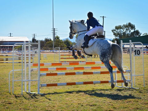 Gunnedah Showjumping Festival - Mackay Tourism 1