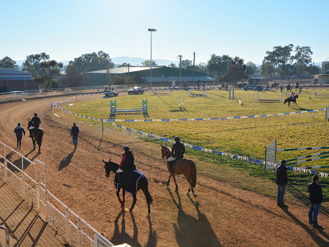 Gunnedah Showjumping Festival - Mackay Tourism 2