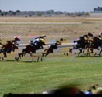 Jerilderie Gold Cup Races - Mackay Tourism