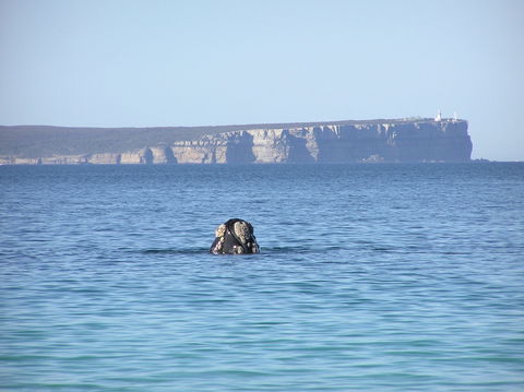 Jervis Bay's Sydney To Hobart Experience - Mackay Tourism 0