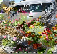 Johns River Country Markets - Mackay Tourism