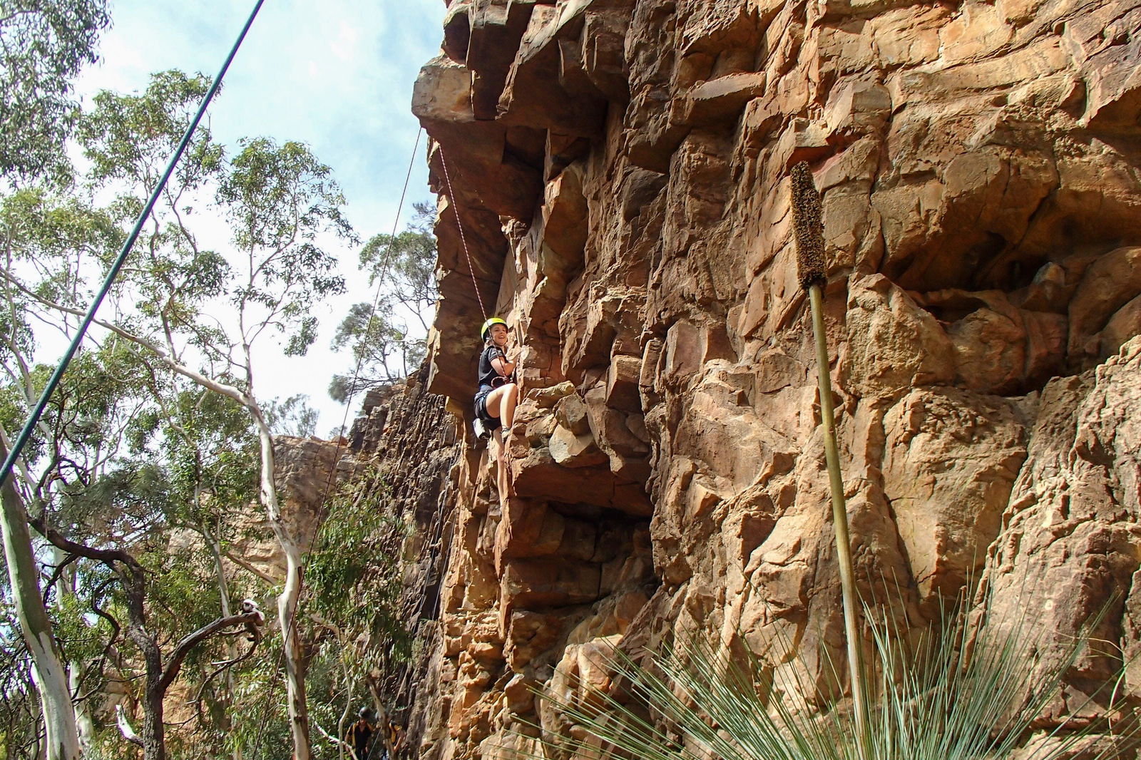Woodforde SA Mackay Tourism