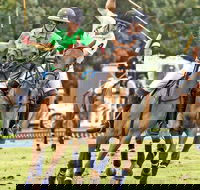 Land Rover Polo in the City - Mackay Tourism
