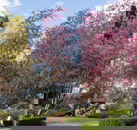 Leura Gardens Festival - Cancelled - Mackay Tourism
