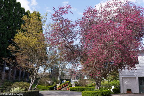 Leura Gardens Festival - Cancelled - Mackay Tourism 0
