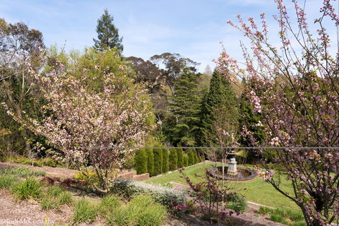 Leura Gardens Festival - Cancelled - Mackay Tourism 2