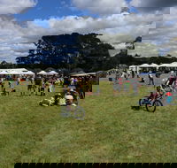 Majors Creek Festival - Mackay Tourism