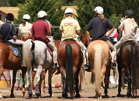 Michelago Pony Club Gymkhana And Sporting Spectacular - Mackay Tourism 0