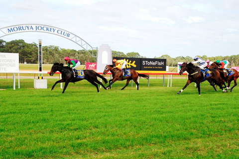 Moruya Cup - Mackay Tourism 2