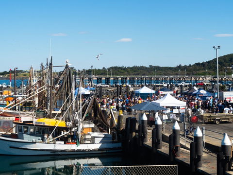 Ocean Harvest Festival - Mackay Tourism 0
