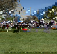 Sakura Matsuri  - Cherry Blossom Festival - in doubt due to Covid-19 - Mackay Tourism