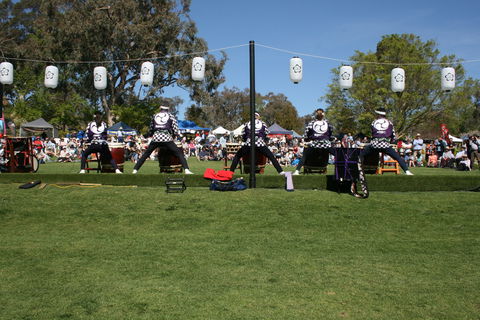 Sakura Matsuri  - Cherry Blossom Festival - In Doubt Due To Covid-19 - Mackay Tourism 0