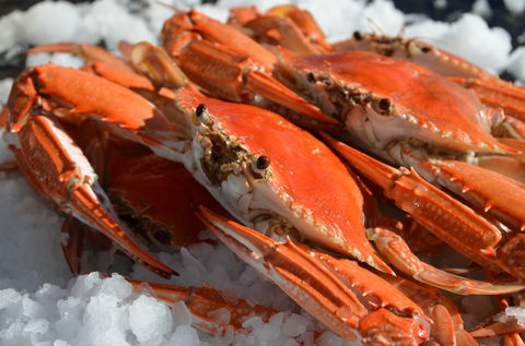 Seafood On Spencer - Mackay Tourism 1