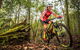 Shimano MTB Grand Prix Race | Awaba - thumb 2