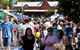 Springwood Foundation Day Festival - thumb 0