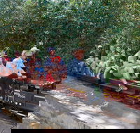 Twilight Run   Willans Hill Miniature Railway - Mackay Tourism