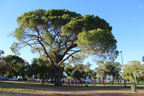 Wagga Parkrun - Mackay Tourism 1
