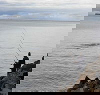 Whale Watching in Portland - Mackay Tourism