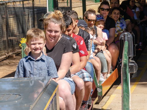 Willans Hill Miniature Railway Rides: Open Days - Mackay Tourism 0