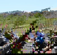 Yoga in the Vines - Mackay Tourism