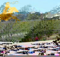 Yoga in the Vines - Mackay Tourism