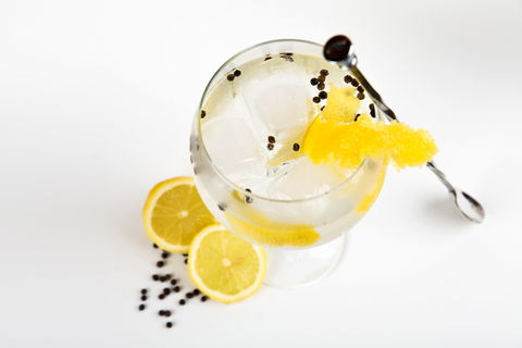 Online Live Streaming Class: Make Four Gin Cocktails - Mackay Tourism 0