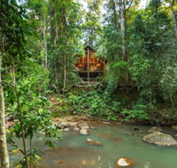 The Canopy Rainforest Treehouses and Wildlife Sanctuary - Mackay Tourism