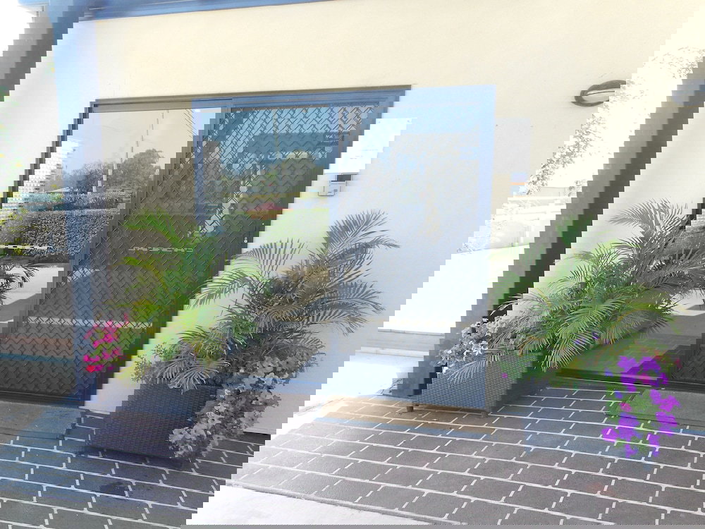 Pony Hills QLD Mackay Tourism