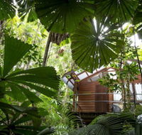 Daintree Wilderness Lodge - Mackay Tourism
