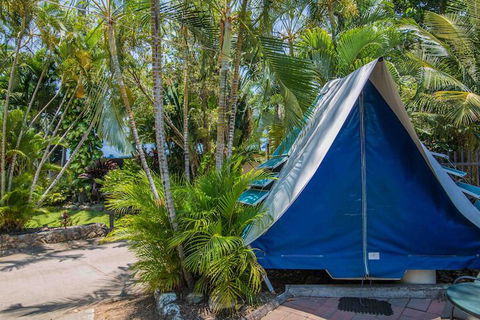 Tasman Holiday Parks - Airlie Beach - Mackay Tourism 5