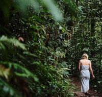 Daintree Ecolodge - Mackay Tourism