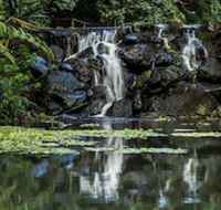 Kondalilla Eco Resort - Mackay Tourism