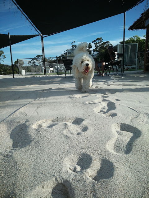 Clare Valley Motel - Mackay Tourism 5