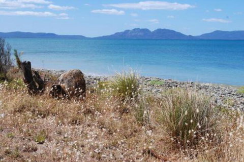 Schouten House - Mackay Tourism 1