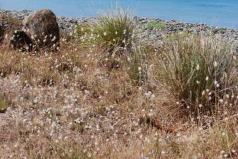 Schouten House - Mackay Tourism 0