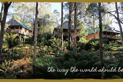 Lemonthyme Wilderness Retreat - Mackay Tourism 5