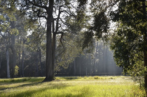 Worrowing Jervis Bay - Mackay Tourism 3